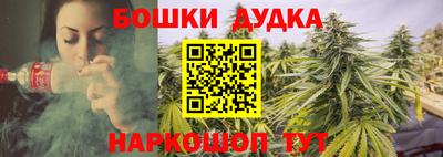 мдпв Рузаевка