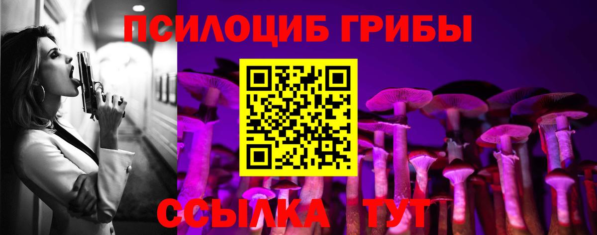 Копейск  Псилоцибиновые грибы мухоморы  Псилоцибиновые грибы Cubensis  Вход с VPN 